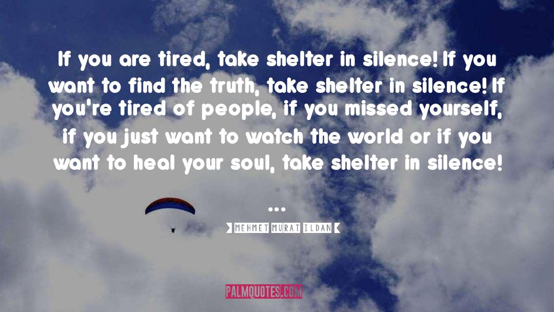 Take Shelter quotes by Mehmet Murat Ildan