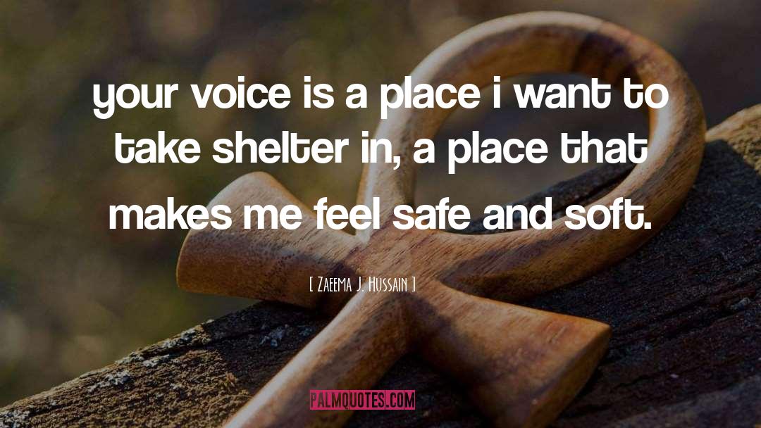 Take Shelter quotes by Zaeema J. Hussain