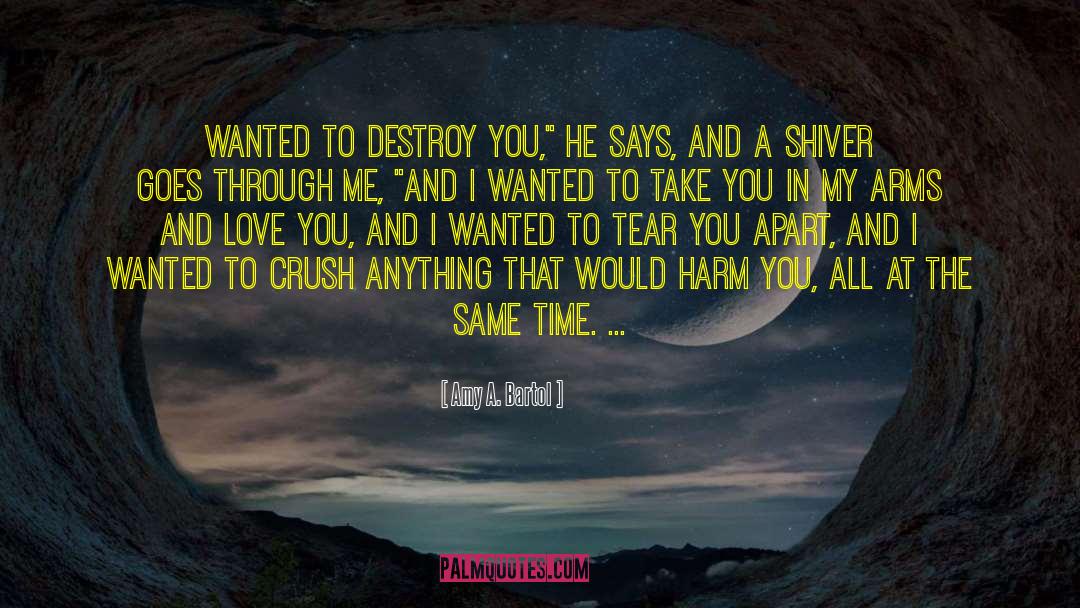 Take You In My Arms quotes by Amy A. Bartol
