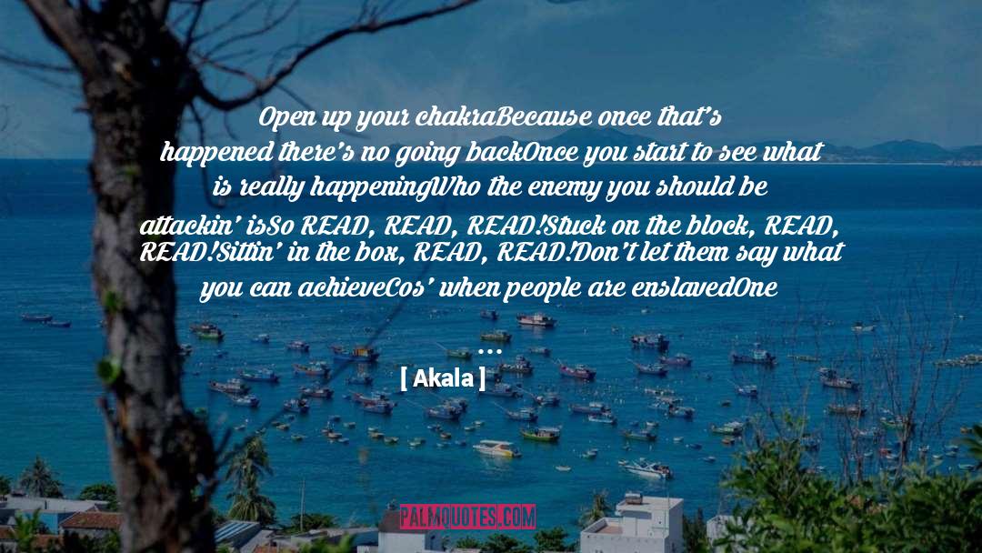 Take Your First Step quotes by Akala