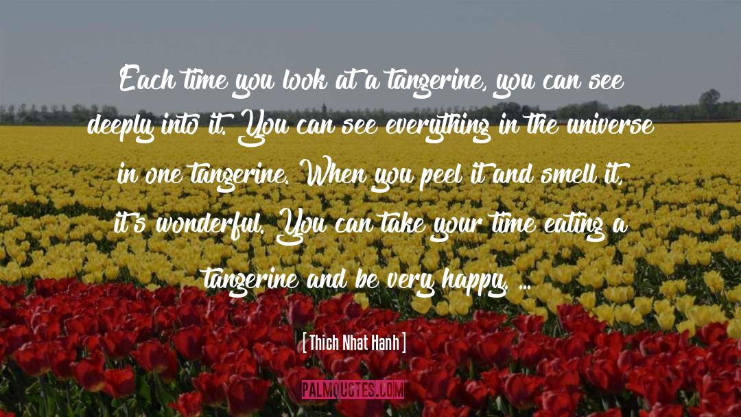 Take Your Time quotes by Thich Nhat Hanh