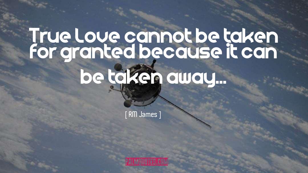 Taken For Granted Friendship quotes by RM James
