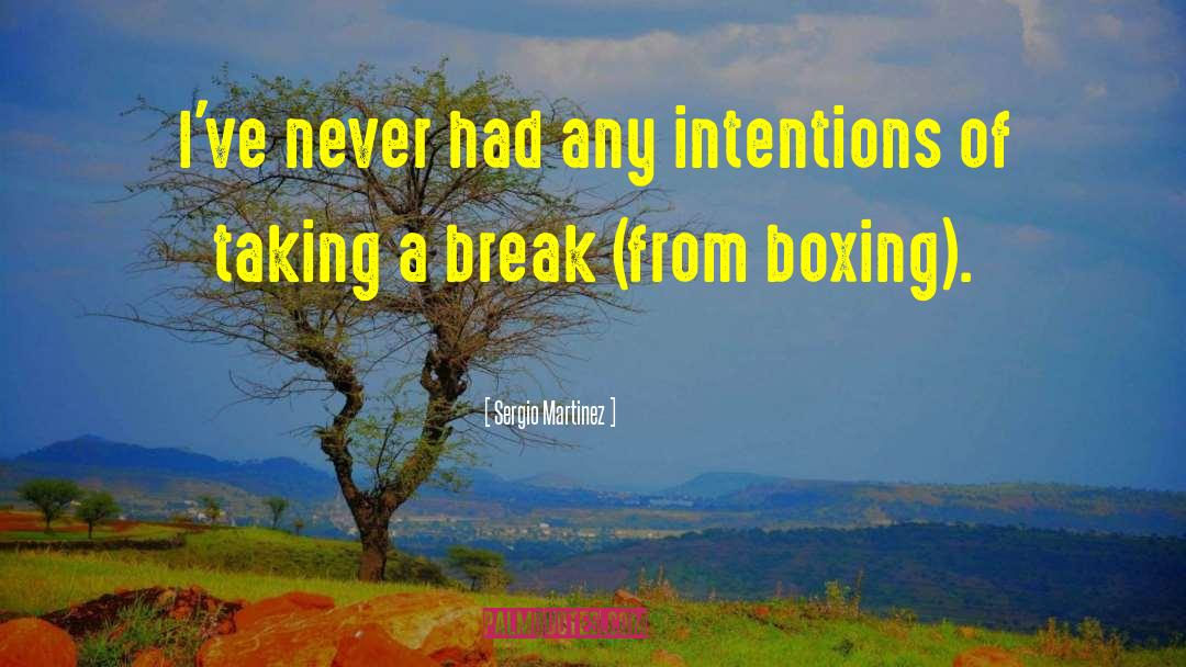 Taking A Break quotes by Sergio Martinez