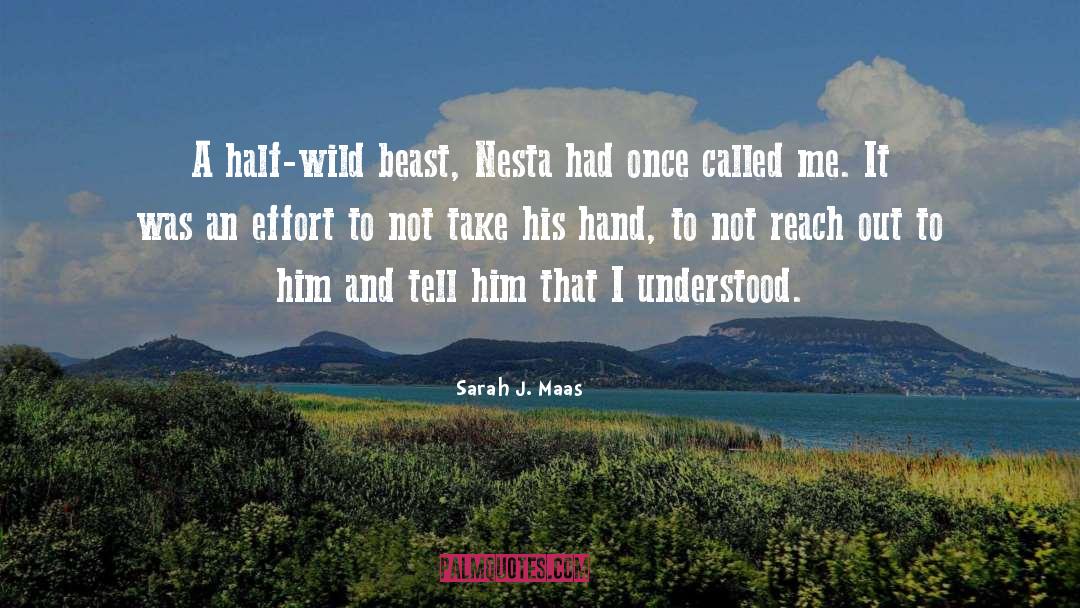 Talent And Effort quotes by Sarah J. Maas