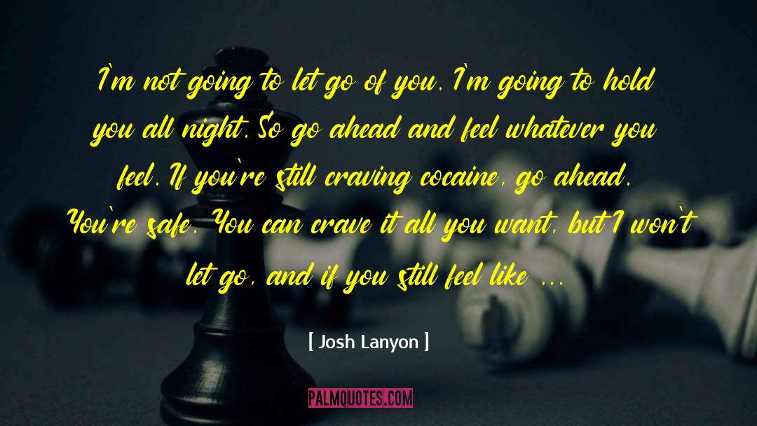 Talk All You Want quotes by Josh Lanyon