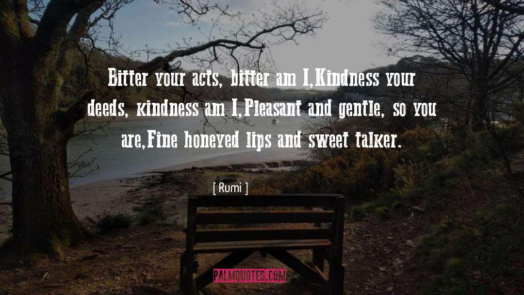 Talker quotes by Rumi