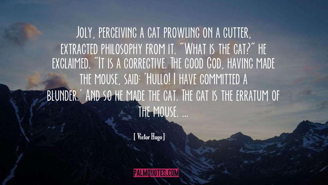 Talking Cat quotes by Victor Hugo