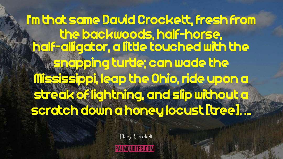 Tall Dark Streak Of Lightning quotes by Davy Crockett