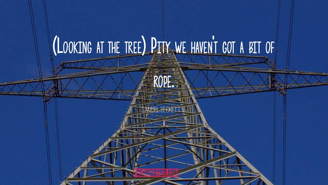 Tall Tree quotes by Samuel Beckett