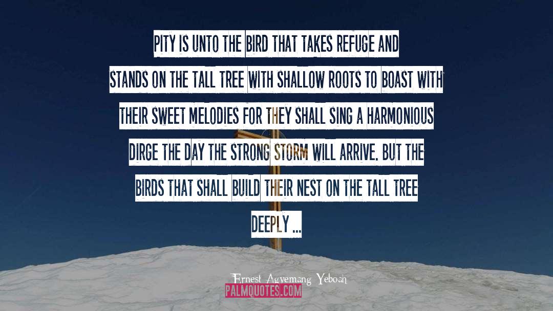 Tall Tree quotes by Ernest Agyemang Yeboah