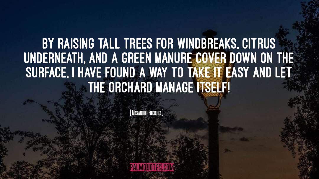 Tall Trees quotes by Masanobu Fukuoka