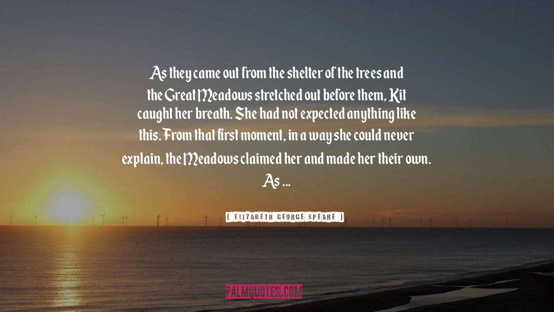 Tallamy Trees quotes by Elizabeth George Speare