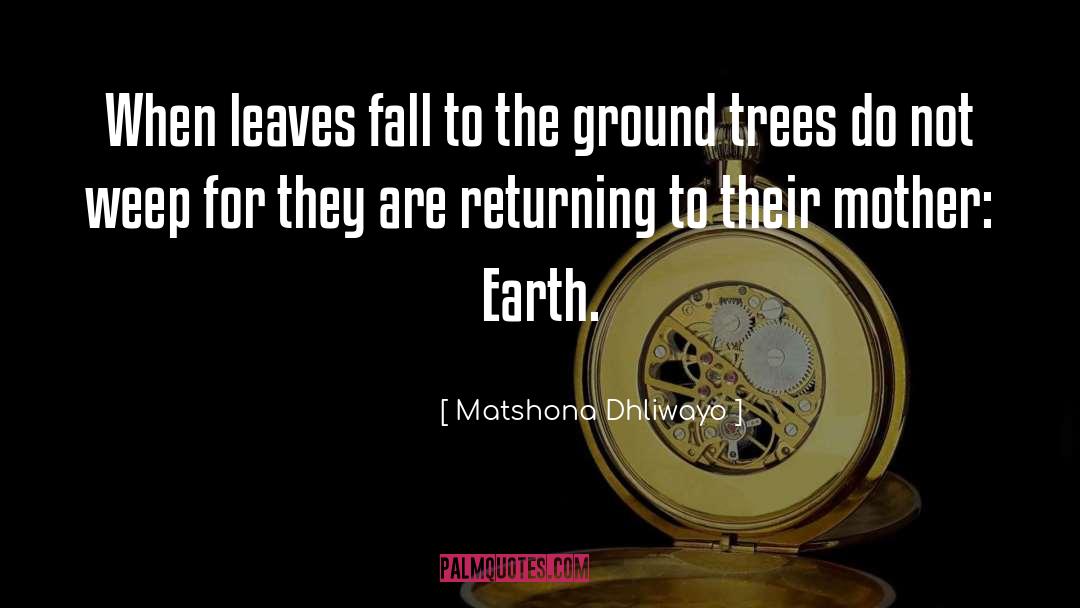 Tallamy Trees quotes by Matshona Dhliwayo