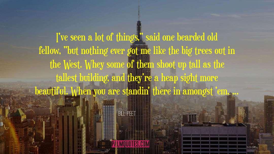 Tallest Building quotes by Bill Peet