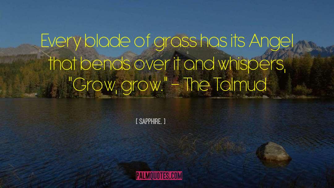 Talmud quotes by Sapphire.