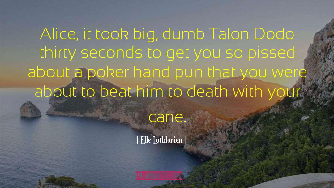 Talon Series quotes by Elle Lothlorien