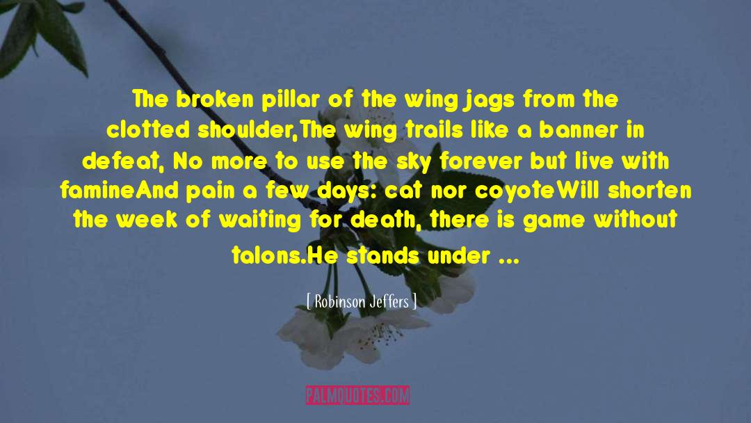 Talons quotes by Robinson Jeffers