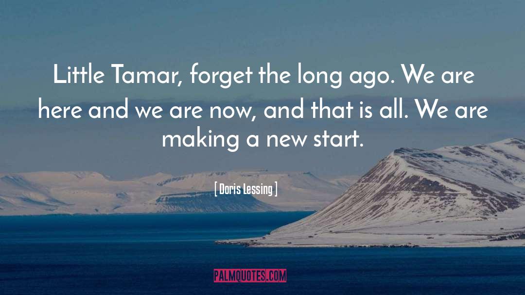 Tamar Kir Baatar quotes by Doris Lessing