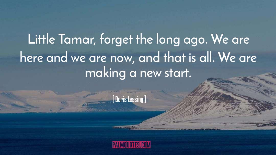 Tamar quotes by Doris Lessing