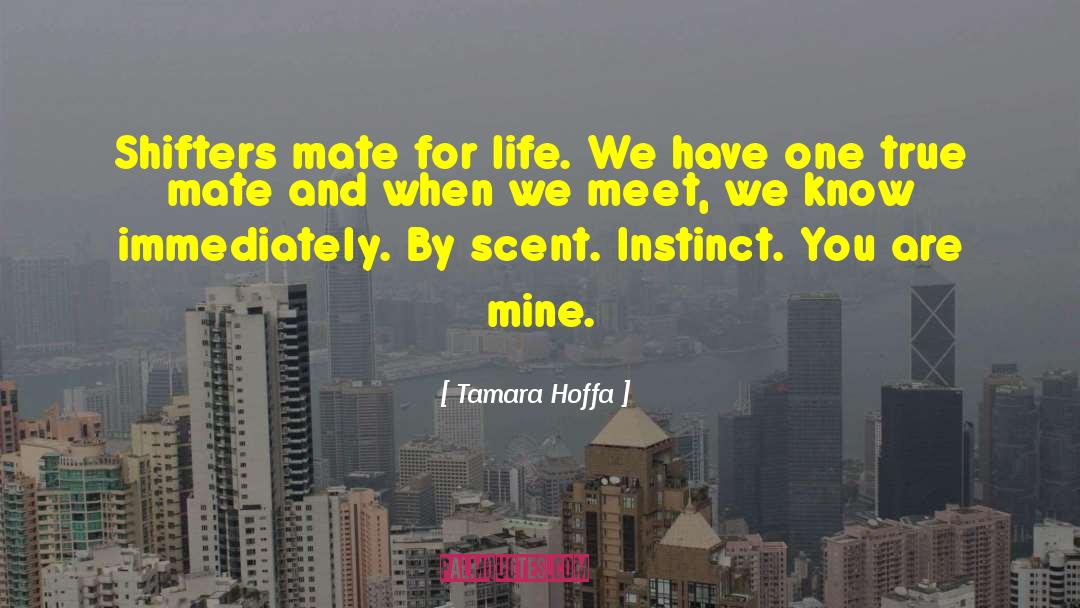 Tamara Rajavi quotes by Tamara Hoffa