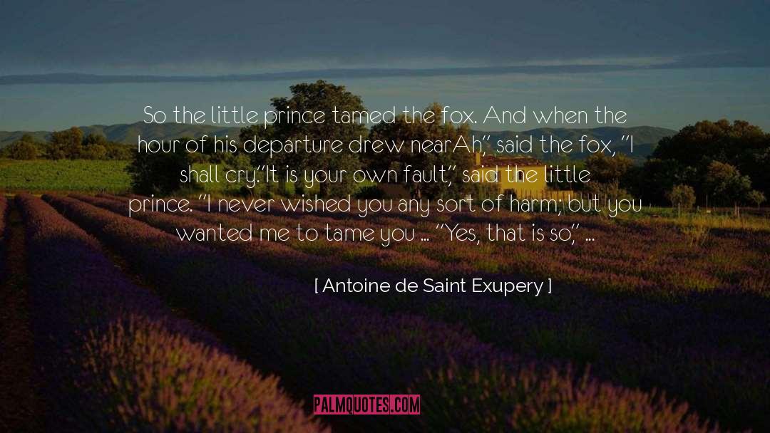 Tamed quotes by Antoine De Saint Exupery