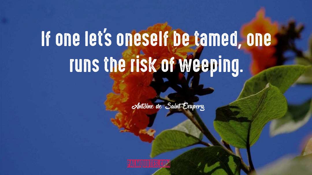 Tamed quotes by Antoine De Saint Exupery