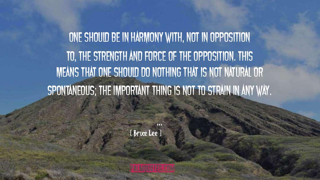 Tamica Lee quotes by Bruce Lee