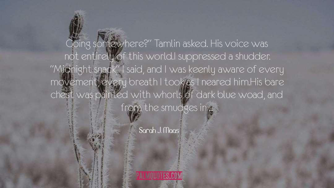 Tamlin quotes by Sarah J. Maas