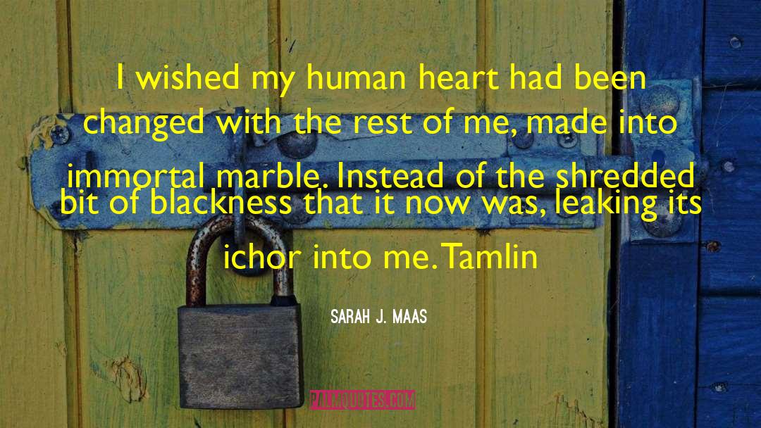 Tamlin quotes by Sarah J. Maas
