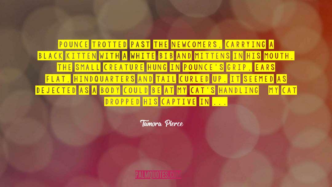 Tamora quotes by Tamora Pierce