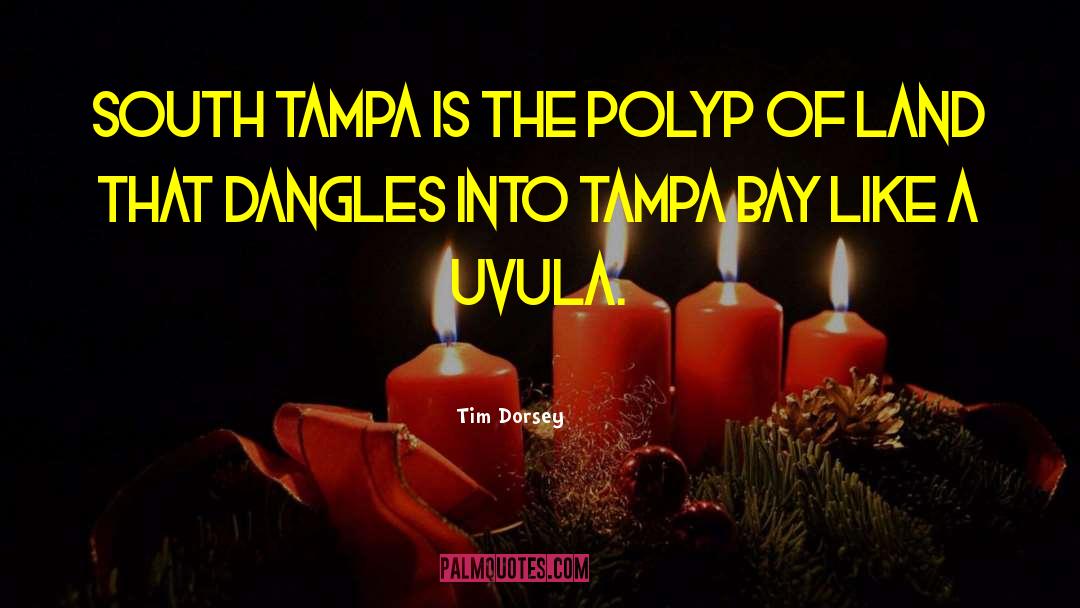 Tampa quotes by Tim Dorsey