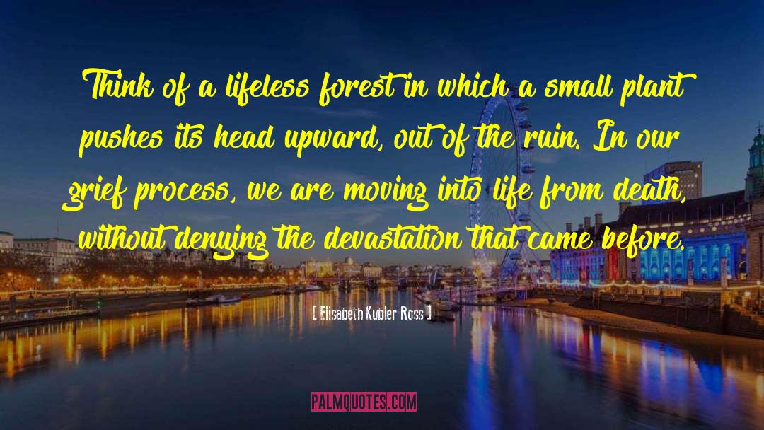 Tandem Process quotes by Elisabeth Kubler Ross