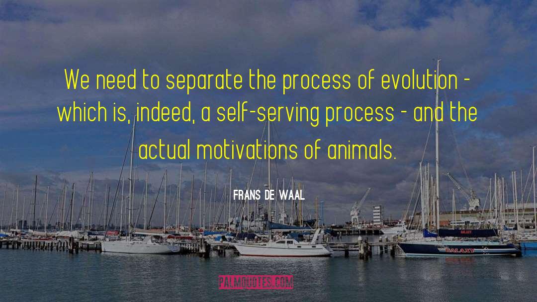 Tandem Process quotes by Frans De Waal