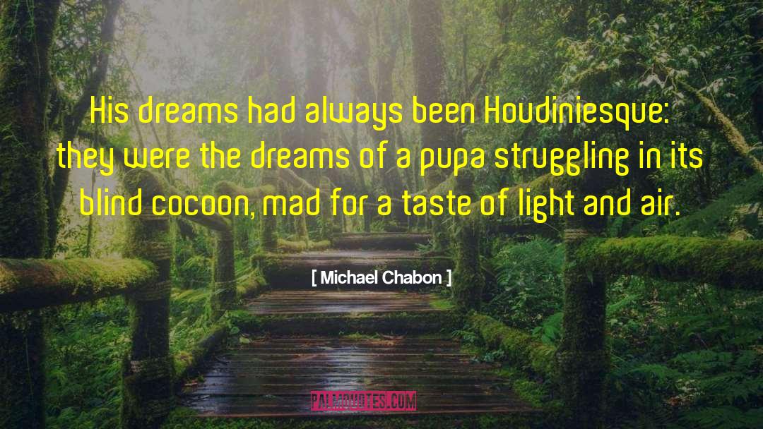 Tandon Air quotes by Michael Chabon