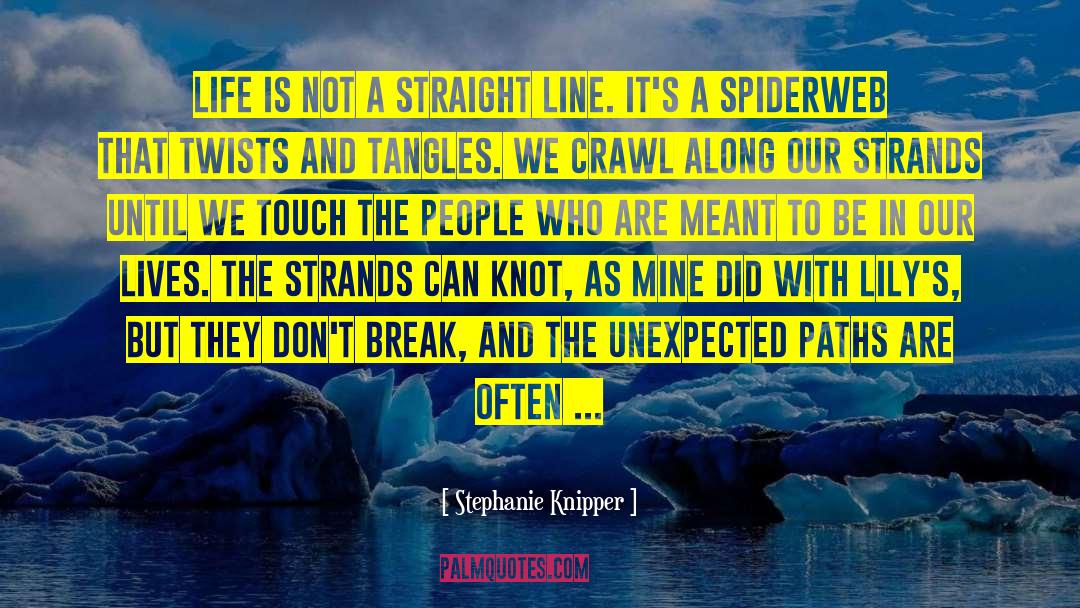 Tangles quotes by Stephanie Knipper