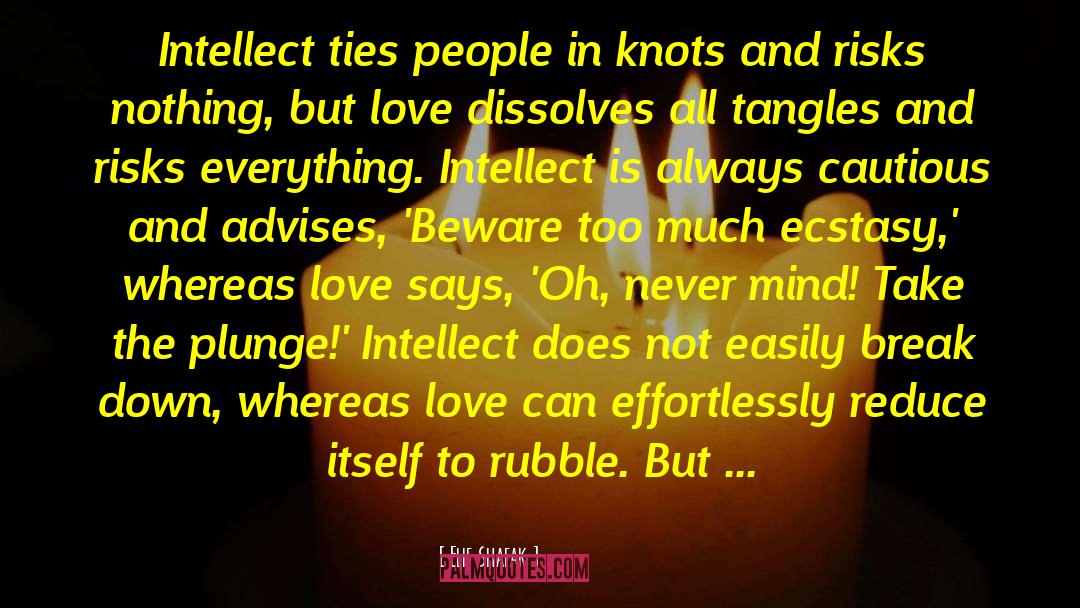 Tangles quotes by Elif Shafak