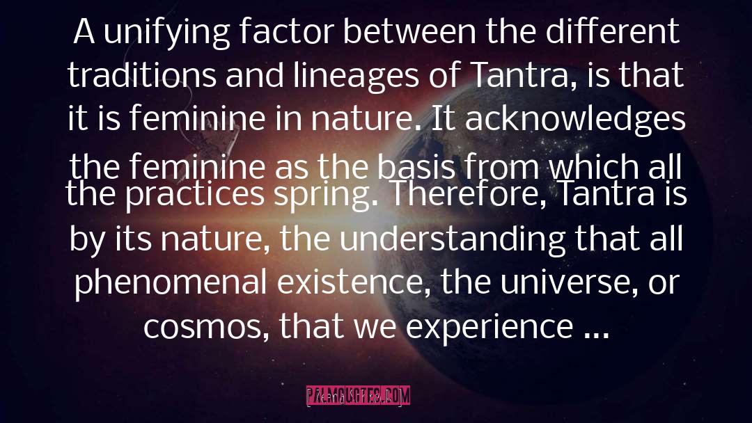 Tantra quotes by Zeena Schreck