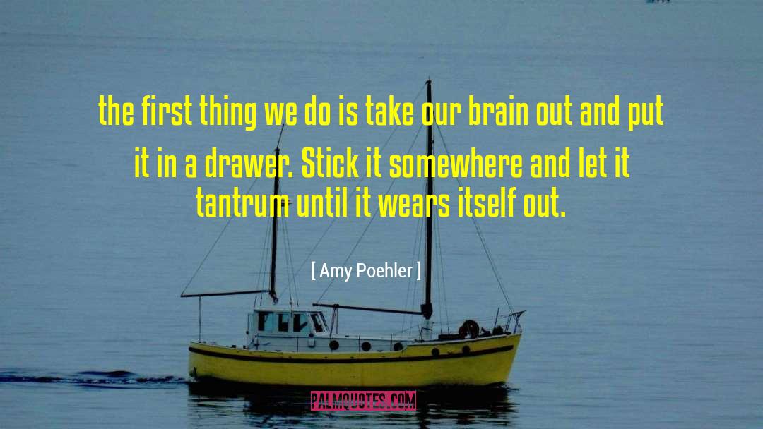 Tantrum quotes by Amy Poehler