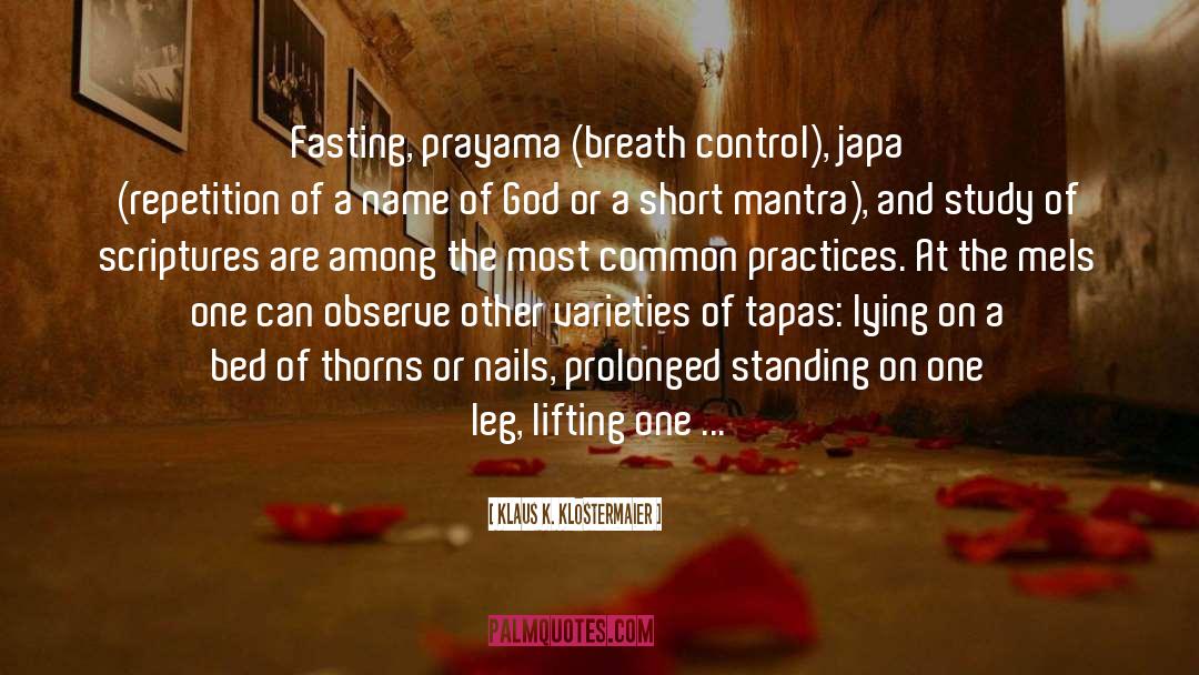 Tapas quotes by Klaus K. Klostermaier