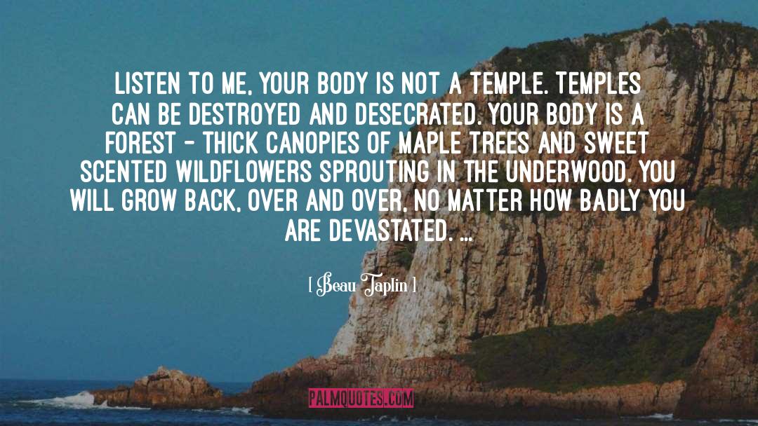 Tapping Maple quotes by Beau Taplin