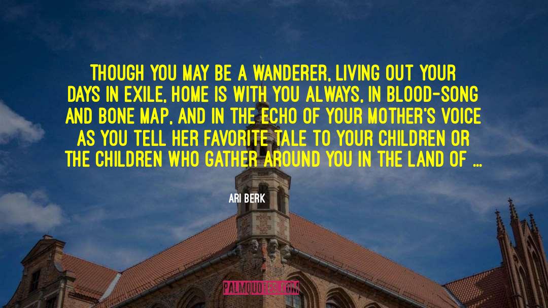 Taran Wanderer quotes by Ari Berk
