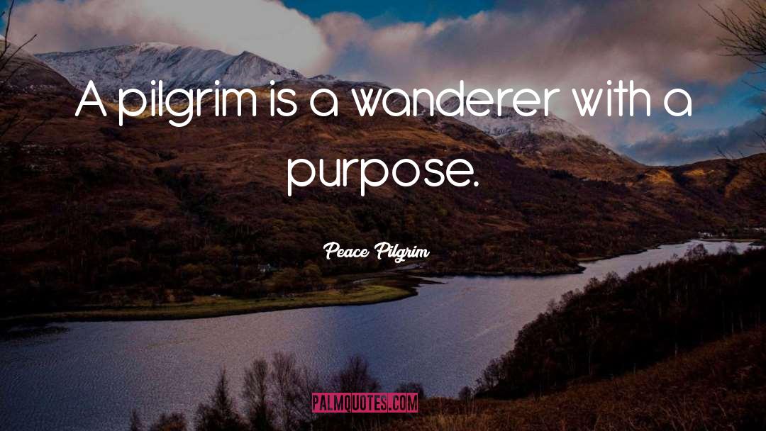 Taran Wanderer quotes by Peace Pilgrim