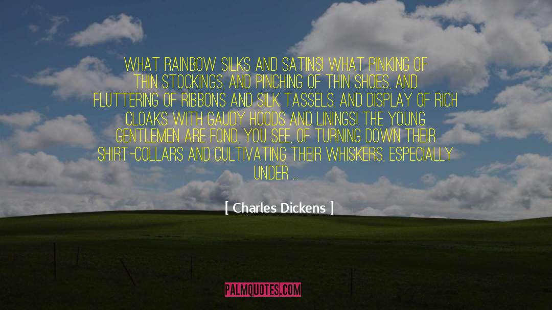 Tassels quotes by Charles Dickens