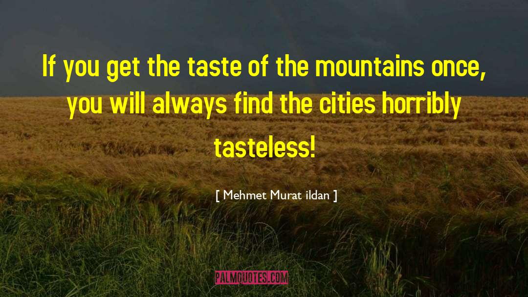 Tasteless quotes by Mehmet Murat Ildan