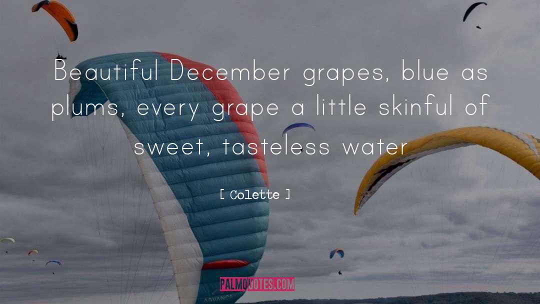 Tasteless quotes by Colette