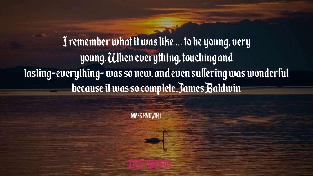 Tasting quotes by James Baldwin