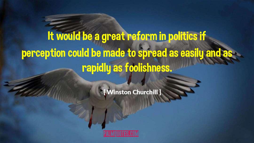 Tax Reform quotes by Winston Churchill