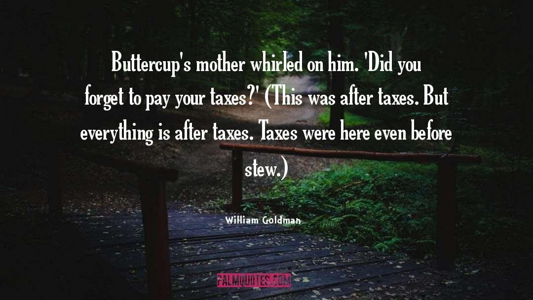 Taxes quotes by William Goldman