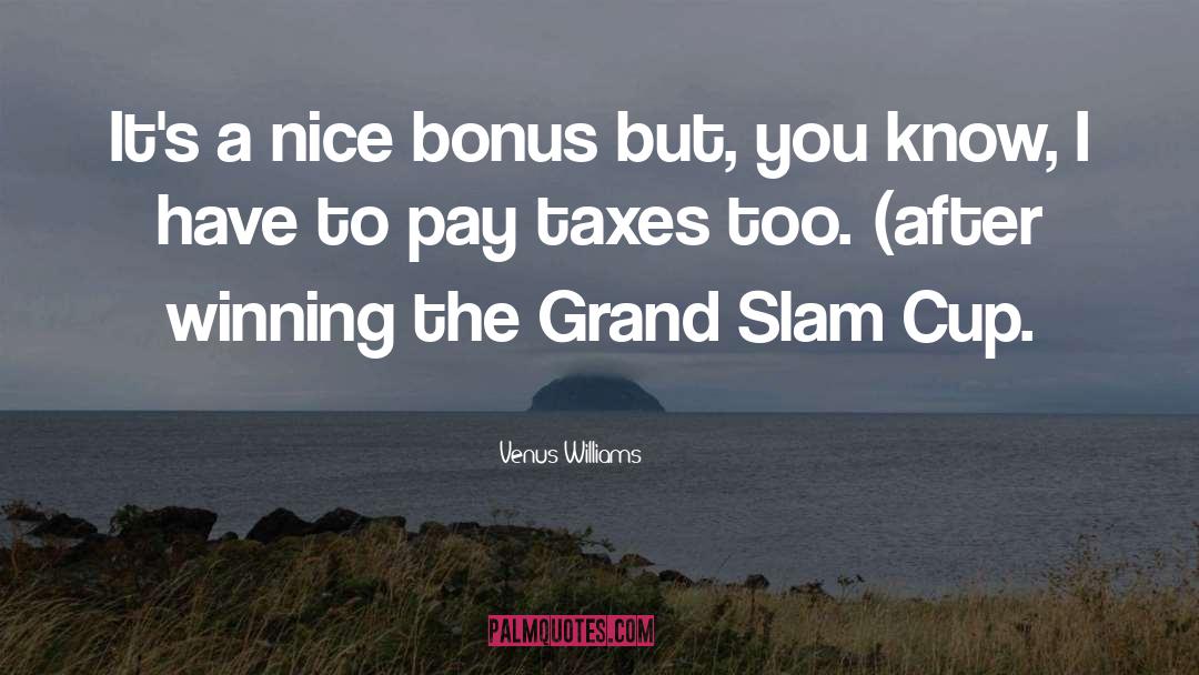 Taxes quotes by Venus Williams