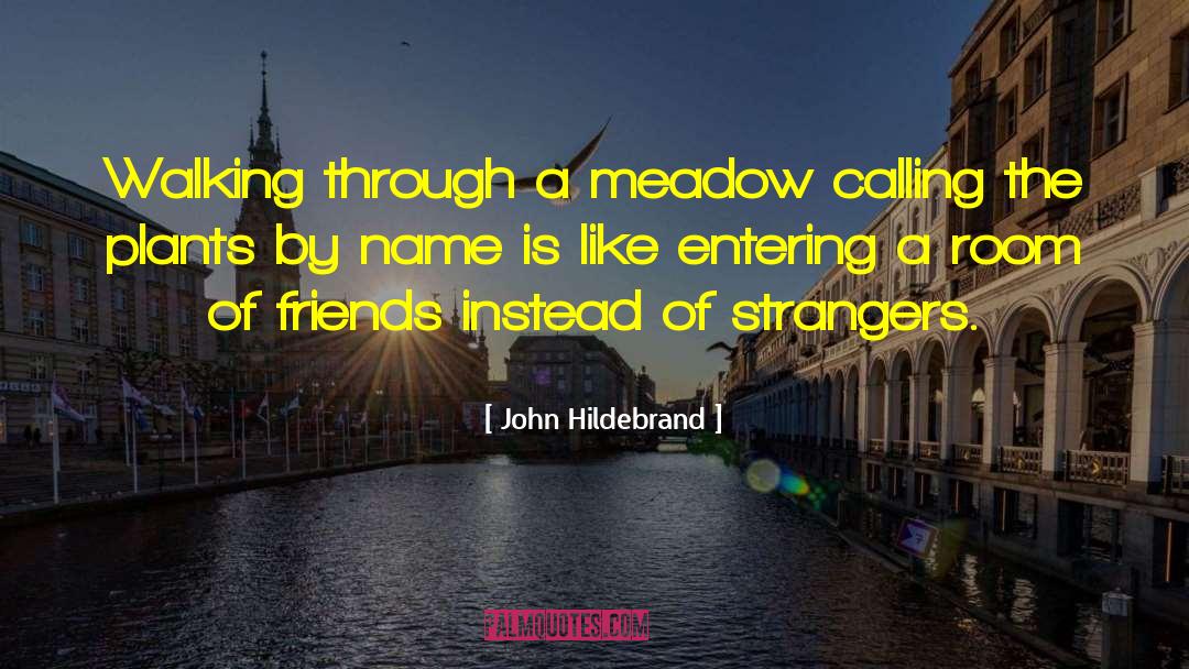 Taxonomy quotes by John Hildebrand